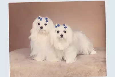 3015 N Ocean Boulevard #9C, Fort Lauderdale, FL 33308 - Photo 18