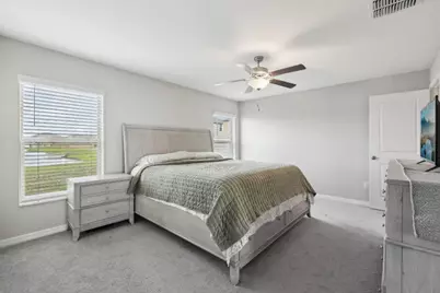 16621 Sunburst Lake Street, Wimauma, FL 33598 - Photo 12