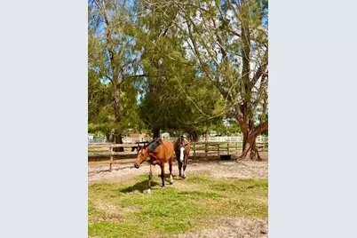 12100 NW 27th Court, Plantation, FL 33323 - Photo 44