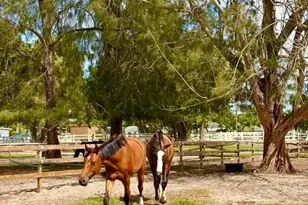 12100 NW 27th Ct, Plantation, FL 33323 - Photo 44