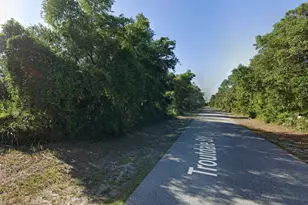 72 Troutdale St, Port Charlotte, FL 33954 - Photo 1