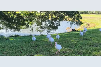 4070 Exeter D, Boca Raton, FL 33434 - Photo 38