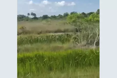 14828 NW 280th, Okeechobee, FL 34972 - Photo 2