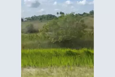 14880 NW 280th, Okeechobee, FL 34972 - Photo 2