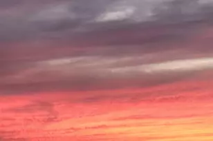 1537 E Hillsboro Blvd, Deerfield Beach, FL 33441 - Photo 42