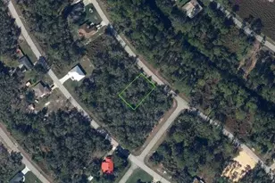 357 NE Coolidge Ave, Lake Placid, FL 33852 - Photo 1