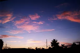 1611 SW 3rd Ave, Pompano Beach, FL 33060 - Photo 38