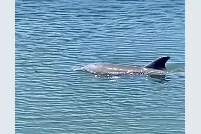 200 Greytwig Road #213, Vero Beach, FL 32963 - Photo 20