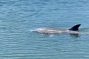 200 Greytwig Rd, Vero Beach, FL 32963 - Photo 20