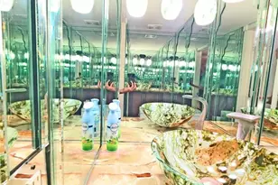 139 Sparrow Dr, Royal Palm Beach, FL 33411 - Photo 46