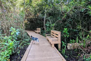 1717 SW 14th St, Fort Lauderdale, FL 33312 - Photo 36