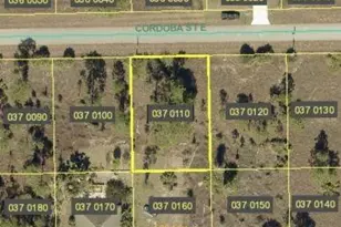 1246 Cordoba St, Lehigh Acres, FL 33974 - Photo 4