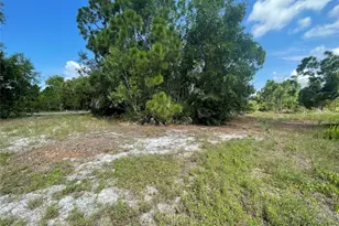 4513 NW 34th Pl, Cape Coral, FL 33993 - Photo 8