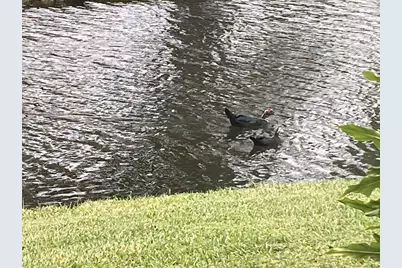 1668 Cypress Pointe Drive #1668, Coral Springs, FL 33071 - Photo 22