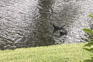 1668 Cypress Pointe Dr, Coral Springs, FL 33071 - Photo 22