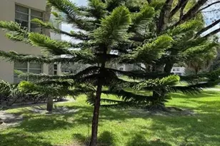 1811 Sabal Palm Unit, Davie, FL 33324 - Photo 56