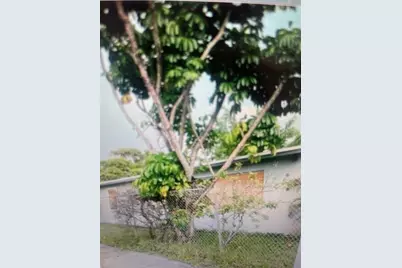 901 NW 24th Avenue, Fort Lauderdale, FL 33311 - Photo 4