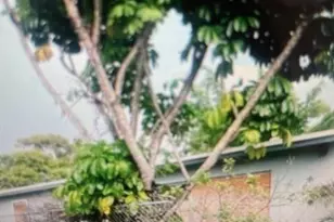 901 NW 24th Ave, Fort Lauderdale, FL 33311 - Photo 4