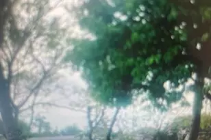 901 NW 24th Ave, Fort Lauderdale, FL 33311 - Photo 2