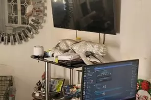 2441 NW 104th St, Miami, FL 33147 - Photo 16