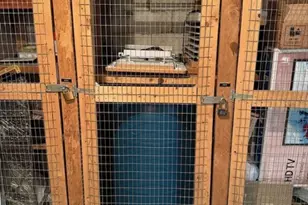 8260 SW 24th St, North Lauderdale, FL 33068 - Photo 22