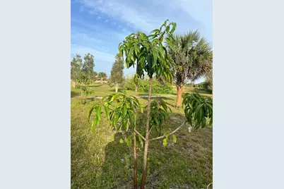 15148 NW 288th Street, Okeechobee, FL 34972 - Photo 32