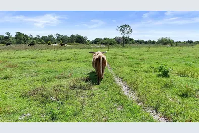 2777 Everhigh Acres Road Road, Clewiston, FL 33440 - Photo 16