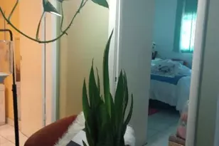 1250 E Sample Rd, Pompano Beach, FL 33064 - Photo 2