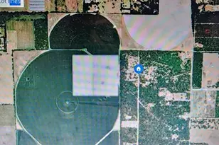 0000 SE Thomas Way, Lee, FL 32059 - Photo 1