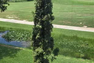 9491 Evergreen Pl, Davie, FL 33324 - Photo 62