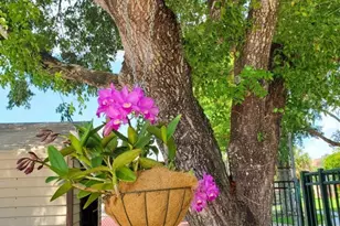 8120 SW 24th St, Pompano Beach, FL 33068 - Photo 10