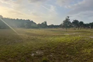 15148 NW 288th St, Okeechobee, FL 34972 - Photo 24