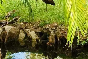 2112 S Cypress Bend Dr, Pompano Beach, FL 33069 - Photo 30