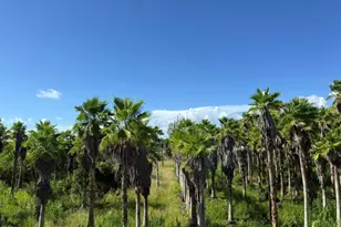 10246 SW 231st Ln, Miami, FL 33190 - Photo 28