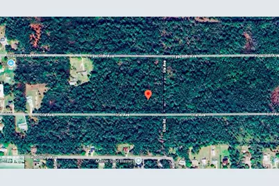 1218 Iris Avenue, Sebring, FL 33875 - Photo 4