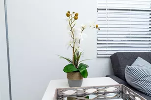 805 NE 23rd Dr, Fort Lauderdale, FL 33305 - Photo 10