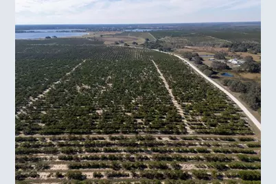 3073 Cr 627, Avon Park, FL 33825 - Photo 10