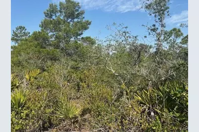 314 Falcon Street, Lake Placid, FL 33852 - Photo 2