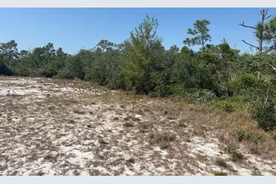 314 Falcon Street, Lake Placid, FL 33852 - Photo 1