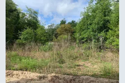 0 Douglas Drive, Interlachen, FL 32148 - Photo 1