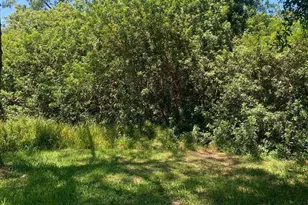 1956 W Tanager Rd, Avon Park, FL 33825 - Photo 1