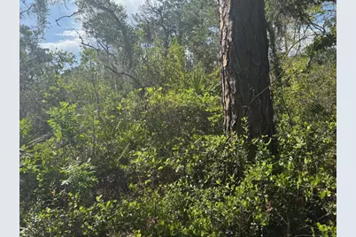 229 Caswell Lane, Lake Placid, FL 33852 - Photo 2