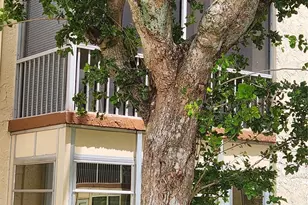 700 SE 6th Ave, Deerfield Beach, FL 33441 - Photo 2