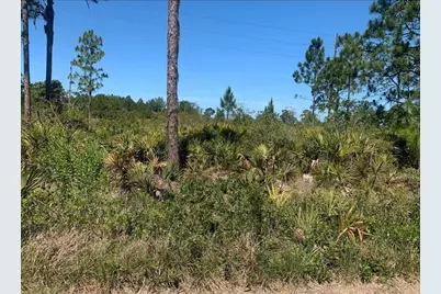 329 Phesant Boulevard, Sebring, FL 33872 - Photo 1