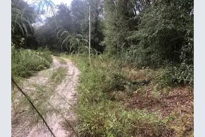 127 Sharon Drive, Satsuma, FL 32189 - Photo 1