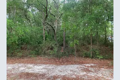 209 Highline Trail, Satsuma, FL 32189 - Photo 1