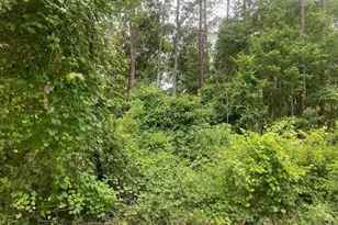 123 Coot Rd, Satsuma, FL 32189 - Photo 1