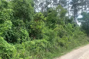 0 Coot Dr, Satsuma, FL 32189 - Photo 1