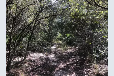 0 Oregon Street, Interlachen, FL 32148 - Photo 2