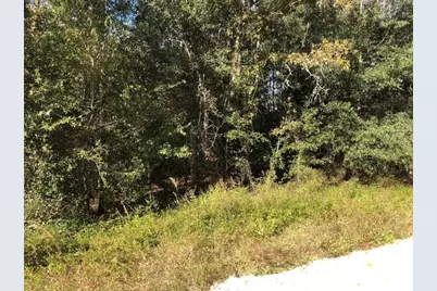 0 Evans Avenue, Interlachen, FL 32148 - Photo 1